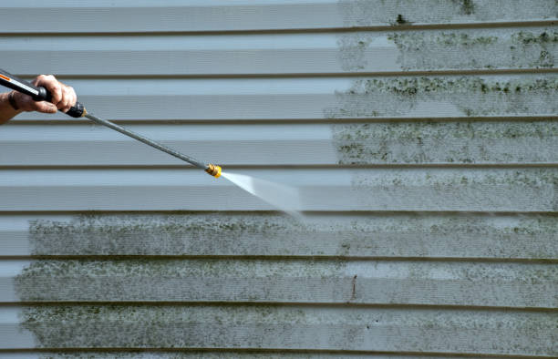 Best Fence Cleaning  in Shoreacres, TX